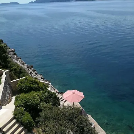 Holiday House 
