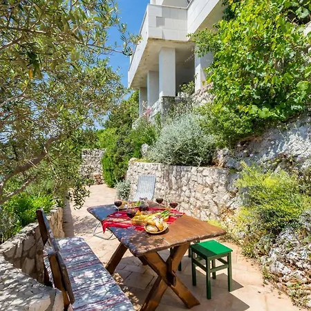 Holiday House 