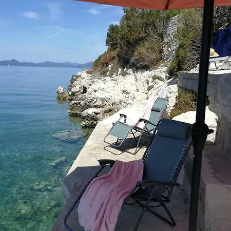 Holiday House 