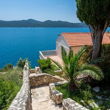 Holiday House 